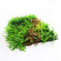 Outdoor decoration DIY artificial plant green wall for shop mall